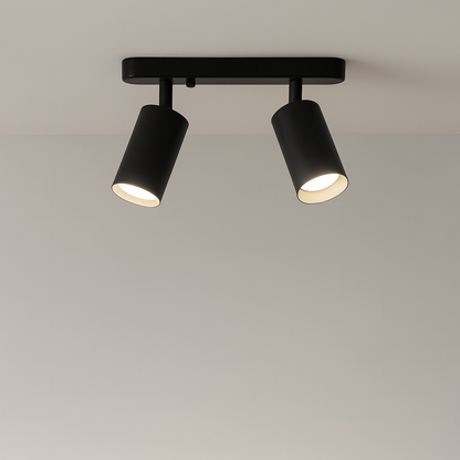 Contemporary Spin Ceiling Light - Fesara