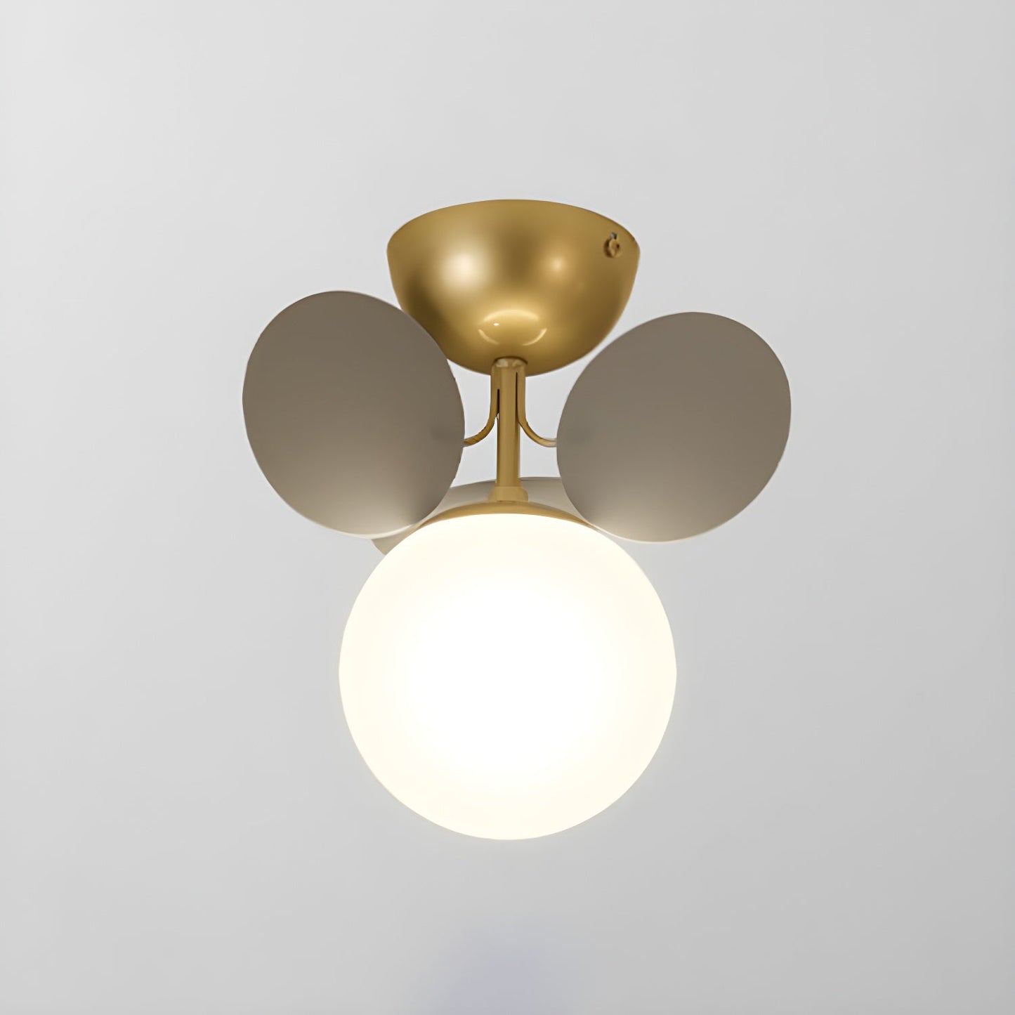 Stylish Glass Globe LED Ceiling Light Fixture