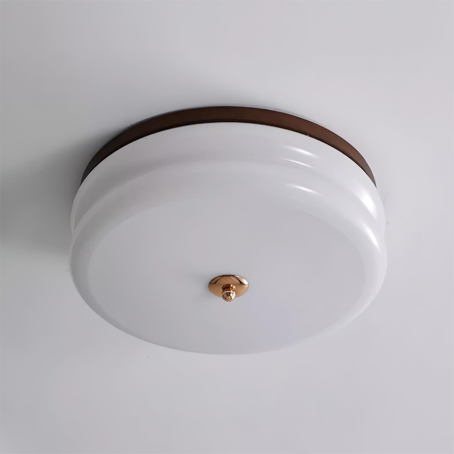 Sleek Flush Mount Ceiling Light with Elegant Glass Shade - Fesara