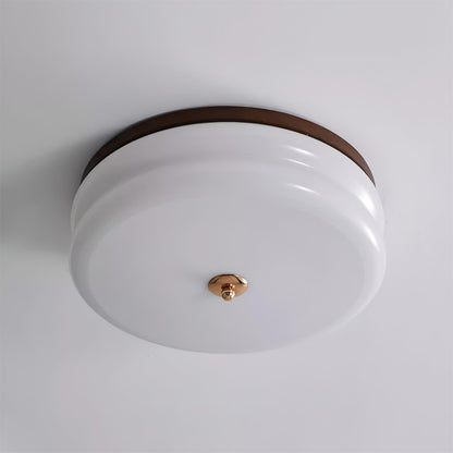 Sleek Flush Mount Ceiling Light with Elegant Glass Shade - Fesara