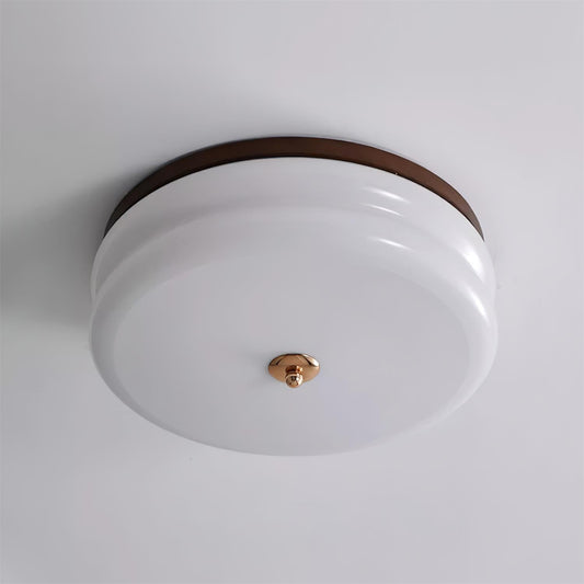 Sleek Flush Mount Ceiling Light with Elegant Glass Shade - Fesara