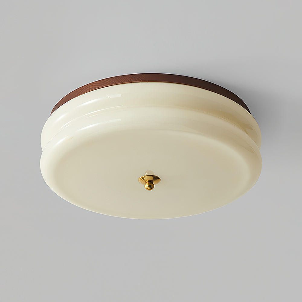 RowenWood | Elegant Modern Flush Mount Ceiling Light with Glass Shade 10
