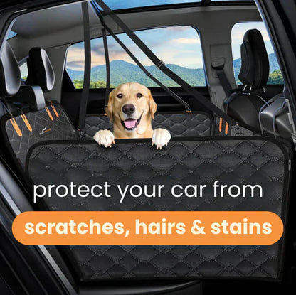 Portable Pet Bench for Easy Travel