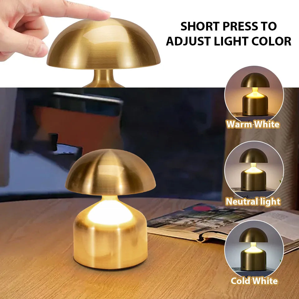 Portable LED Desk Lamp with Dimmer