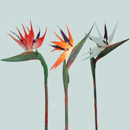 Artificial Bird of Paradise Flowers 3 Piece Decor Set