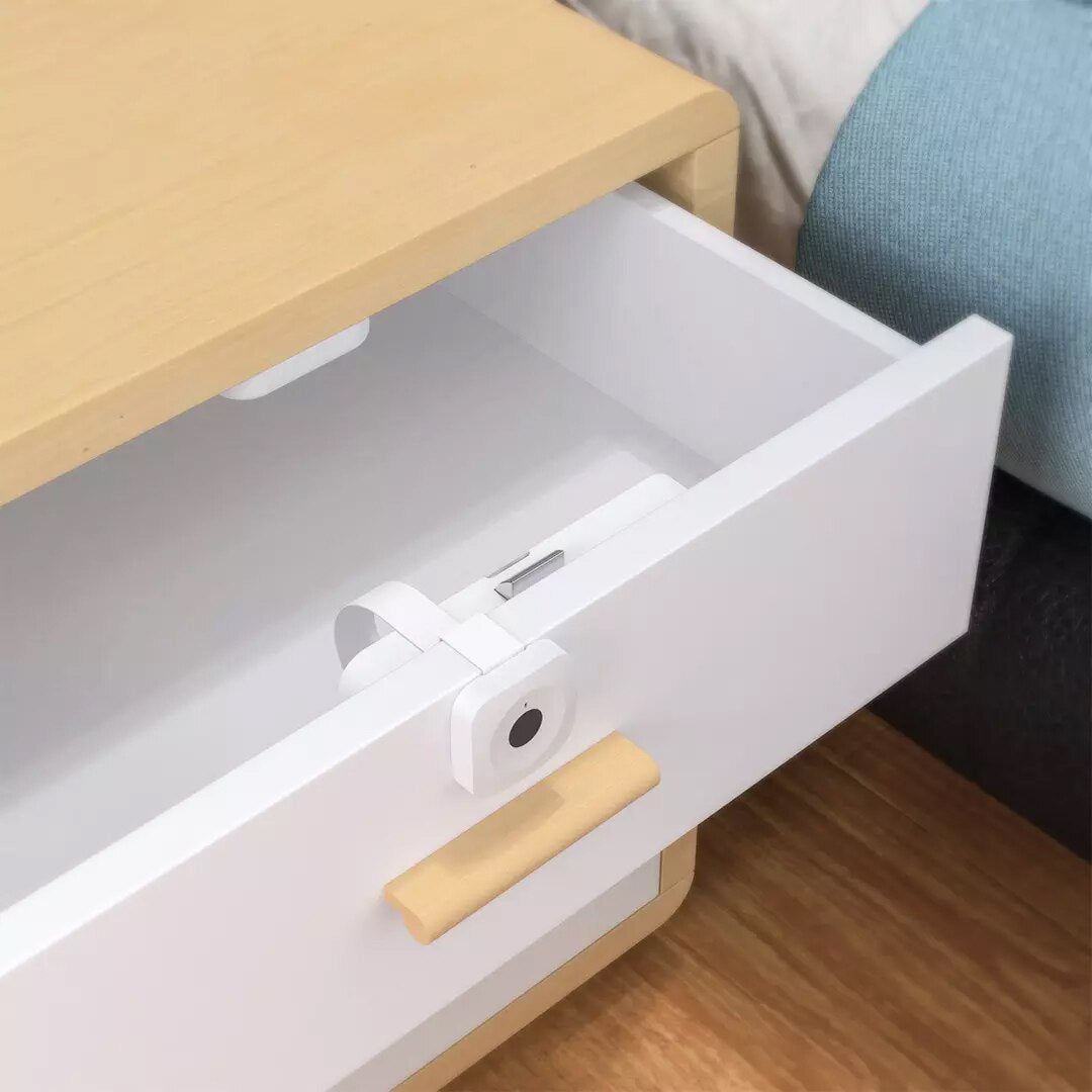 Hidden Digital Fingerprint Cabinet Lock