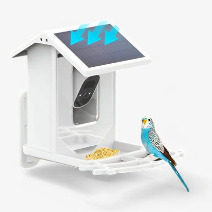 Wireless Bird Feeder with HD Camera and Solar Power