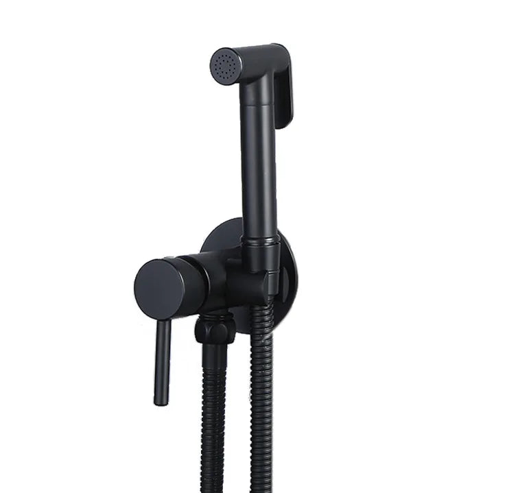 Hygienic Wall Mount Bidet Faucet Set