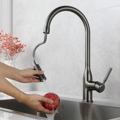 Flexible Kitchen Faucet with Pull Out Spray