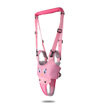 Fesara Walking Companion Pro - Fesara