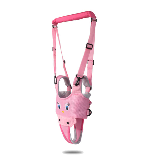 Fesara Walking Companion Pro - Fesara