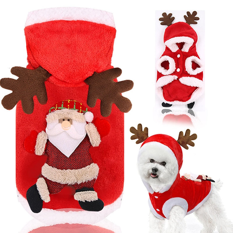 Fun Christmas Pet Outfits