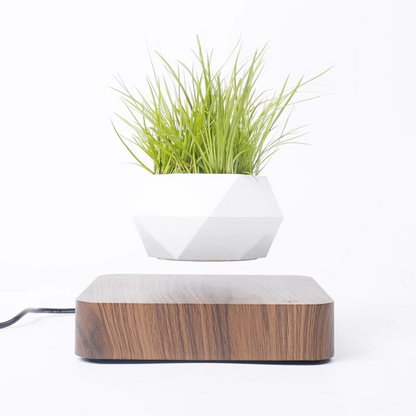 Unique Floating Bonsai Pot for Home Decor
