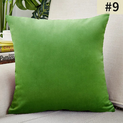 Plush Velvet Pillow Cover for Sophisticated Home Decor