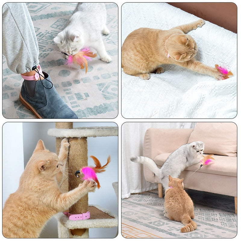 Colorful Feather Teaser Cat Toy