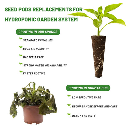 Seed Starting Sponges 50 Pack for Hydroponic Plants
