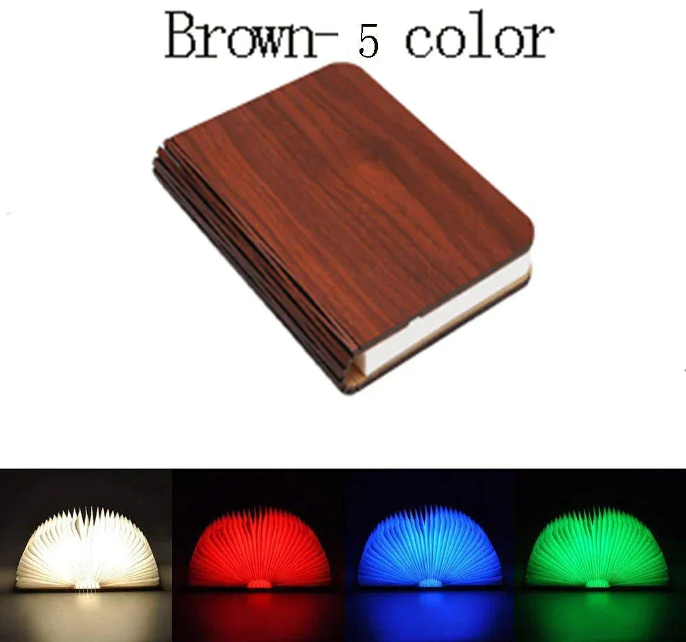 Compact LED Reading Lamp