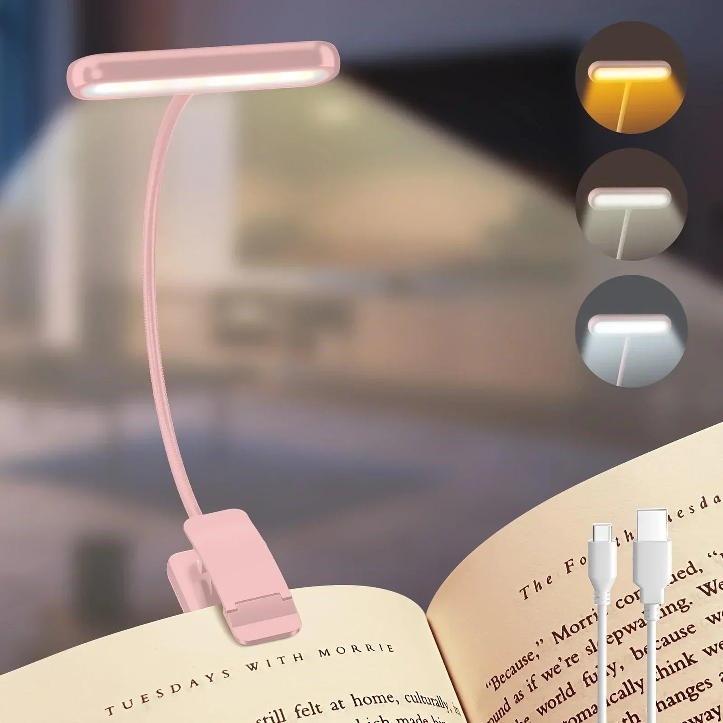 Portable LED Desk Lamp with Adjustable Brightness and Clip