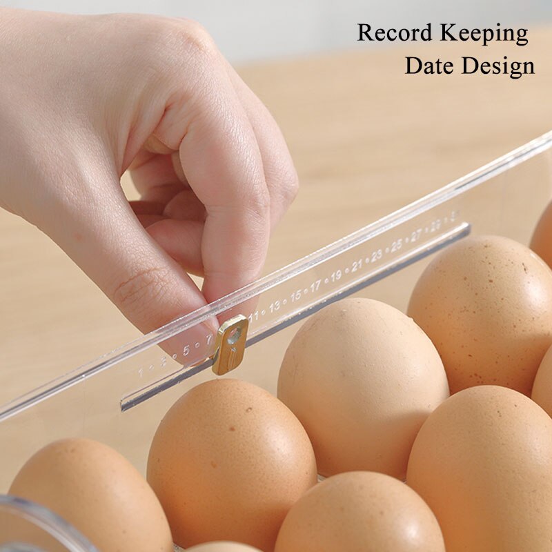 Space Saving Foldable Egg Holder Rack