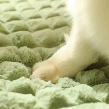 Comfortable Pet Memory Foam Bed with Washable Cover