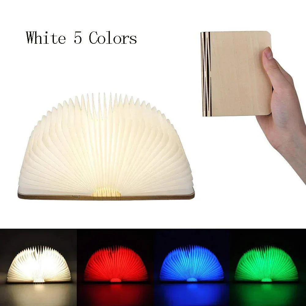 Compact LED Reading Lamp