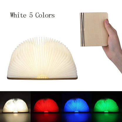 Compact LED Reading Lamp
