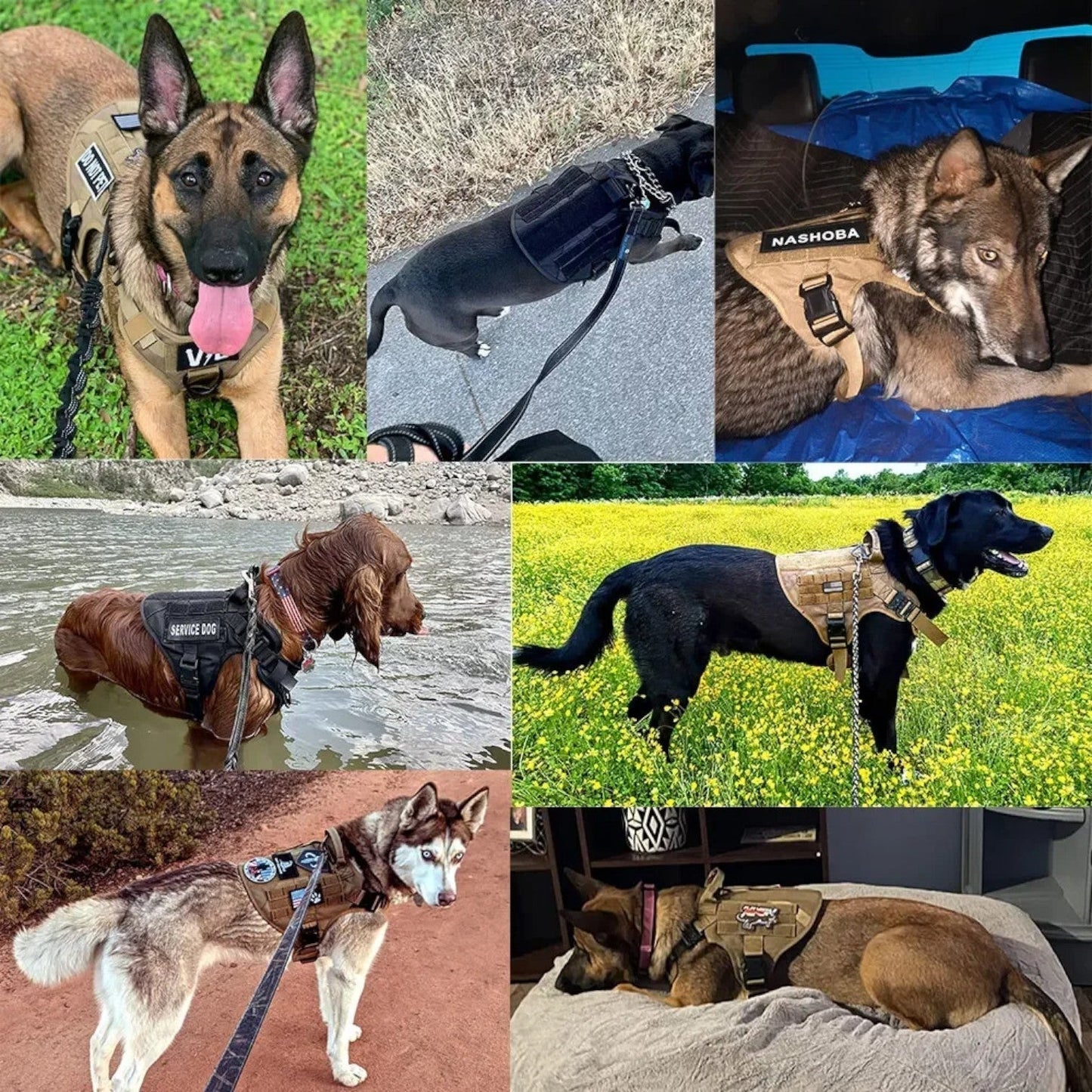 Durable Padded Dog Vest - Adjustable Training Harness