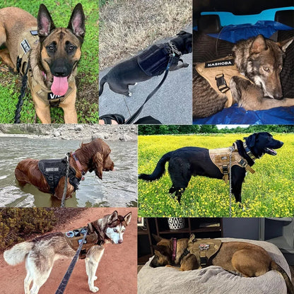Durable Padded Dog Vest - Adjustable Training Harness