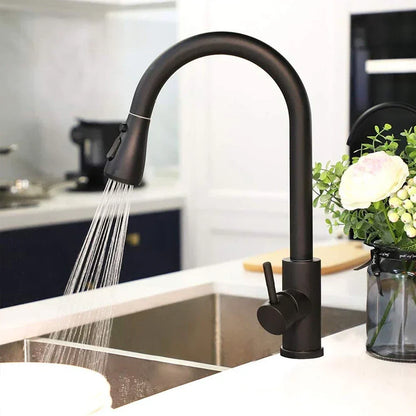Modern Extendable Kitchen Sink Faucet