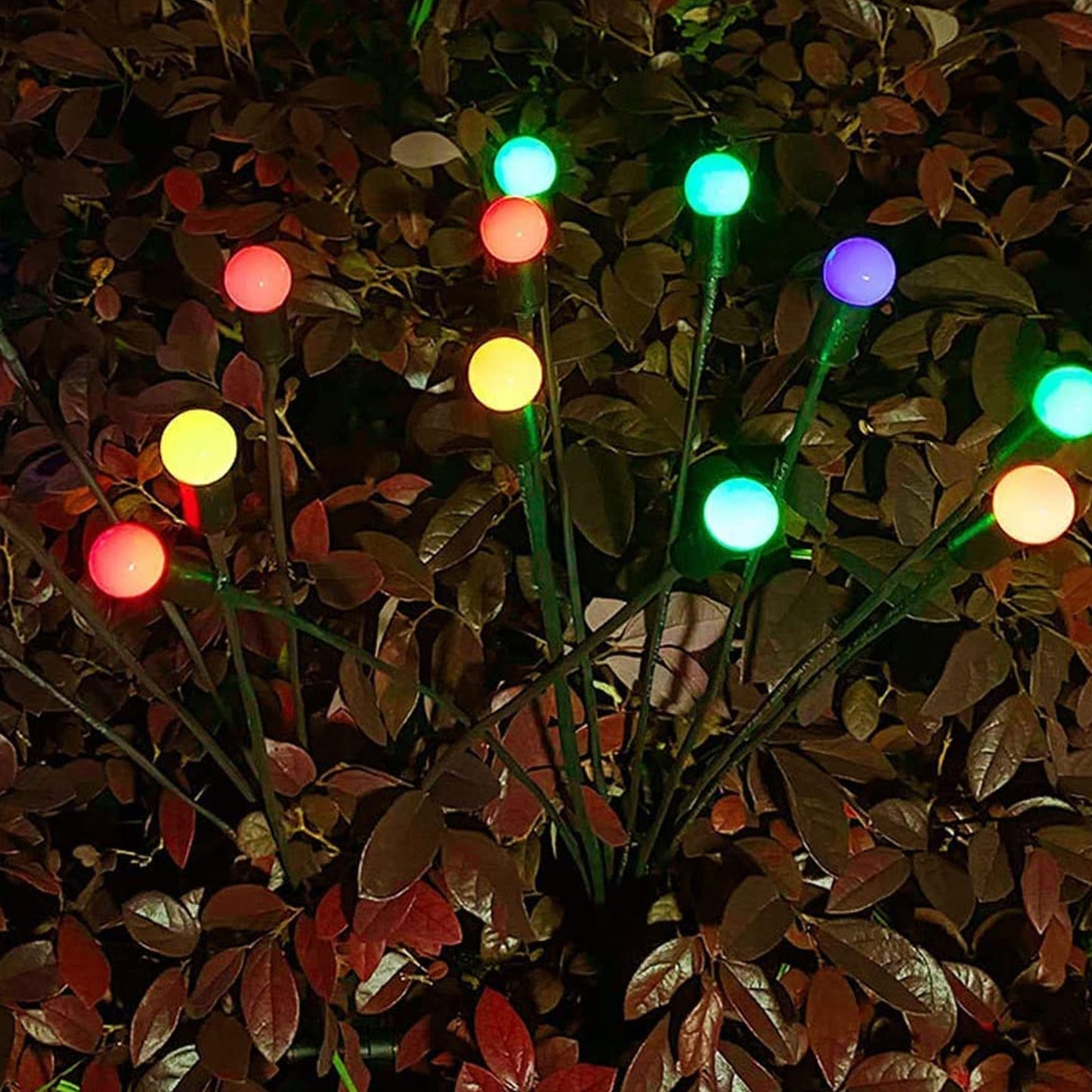 String Fairy Garden Lights
