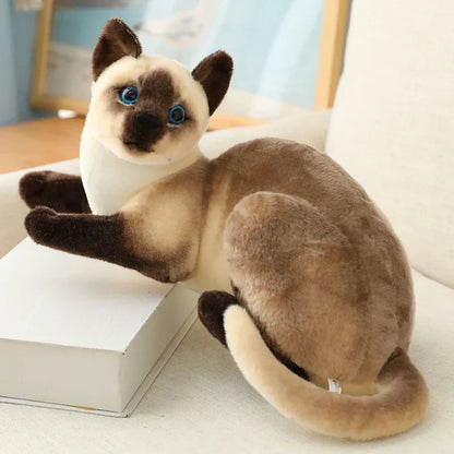Cuddly Cat Plush Toy – Plush Kitten Friend