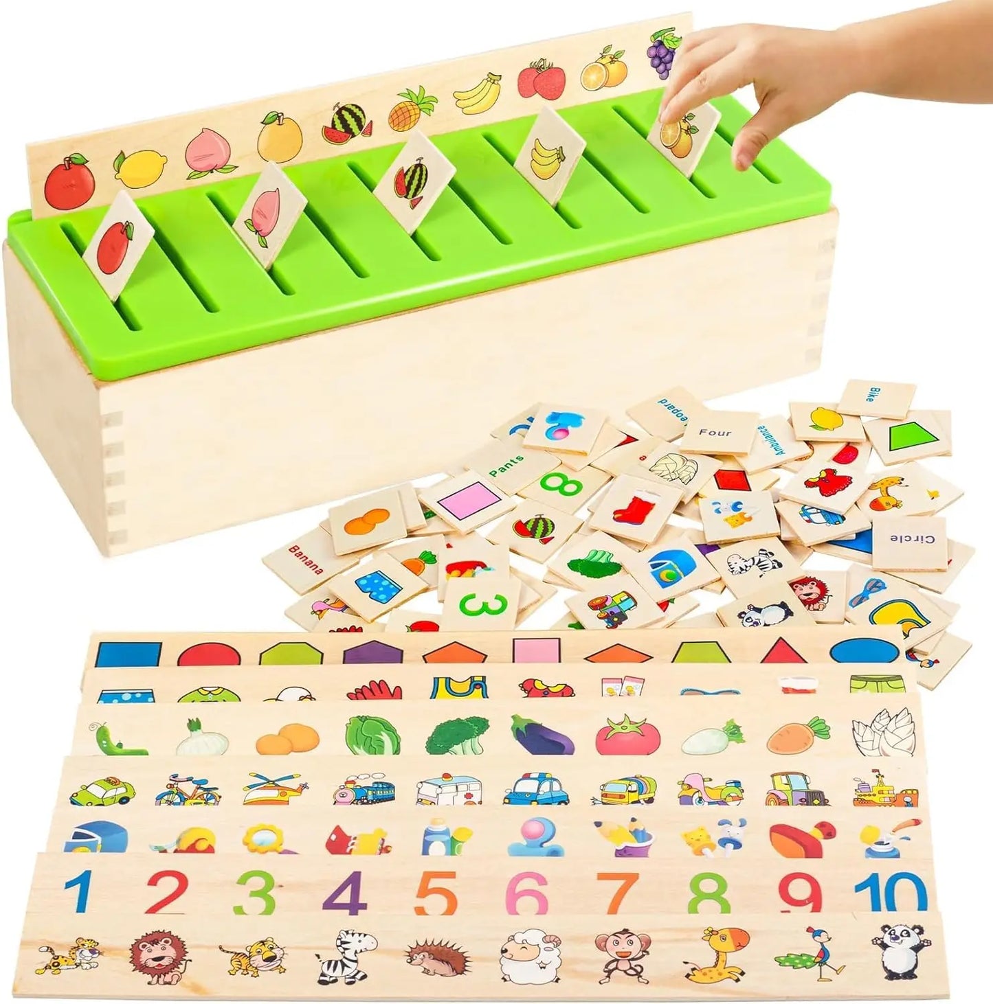 Educational Wooden Sorting Toy for Kids