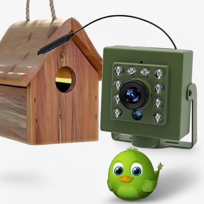 Outdoor WiFi Bird Watching Camera - 1080p Night Vision - Fesara