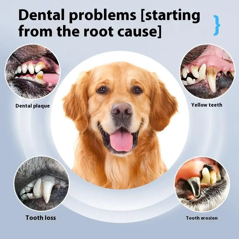 Pet Dental Cleaner Ultrasound Tooth Device