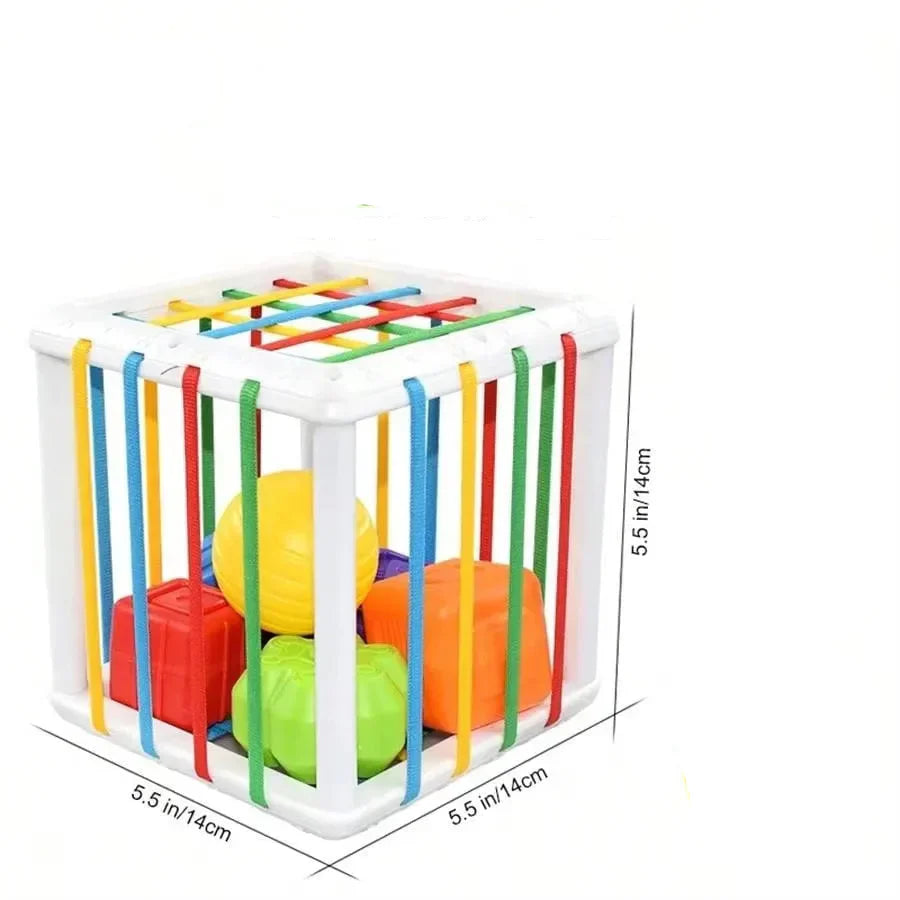 Educational Wooden Shape Sorter Toy