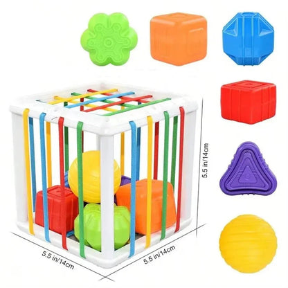 Montessori Shape Sorting Toy for Kids