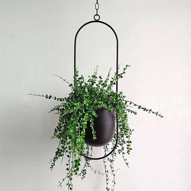 Modern Plant Hangers for Home Decor