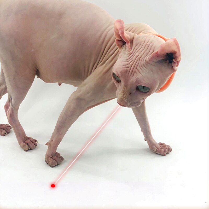 Fesara | Bright Red Laser Cat Play Toy