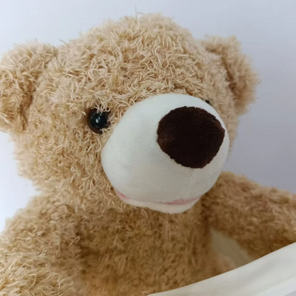 Cute Animated Teddy Bear Toy