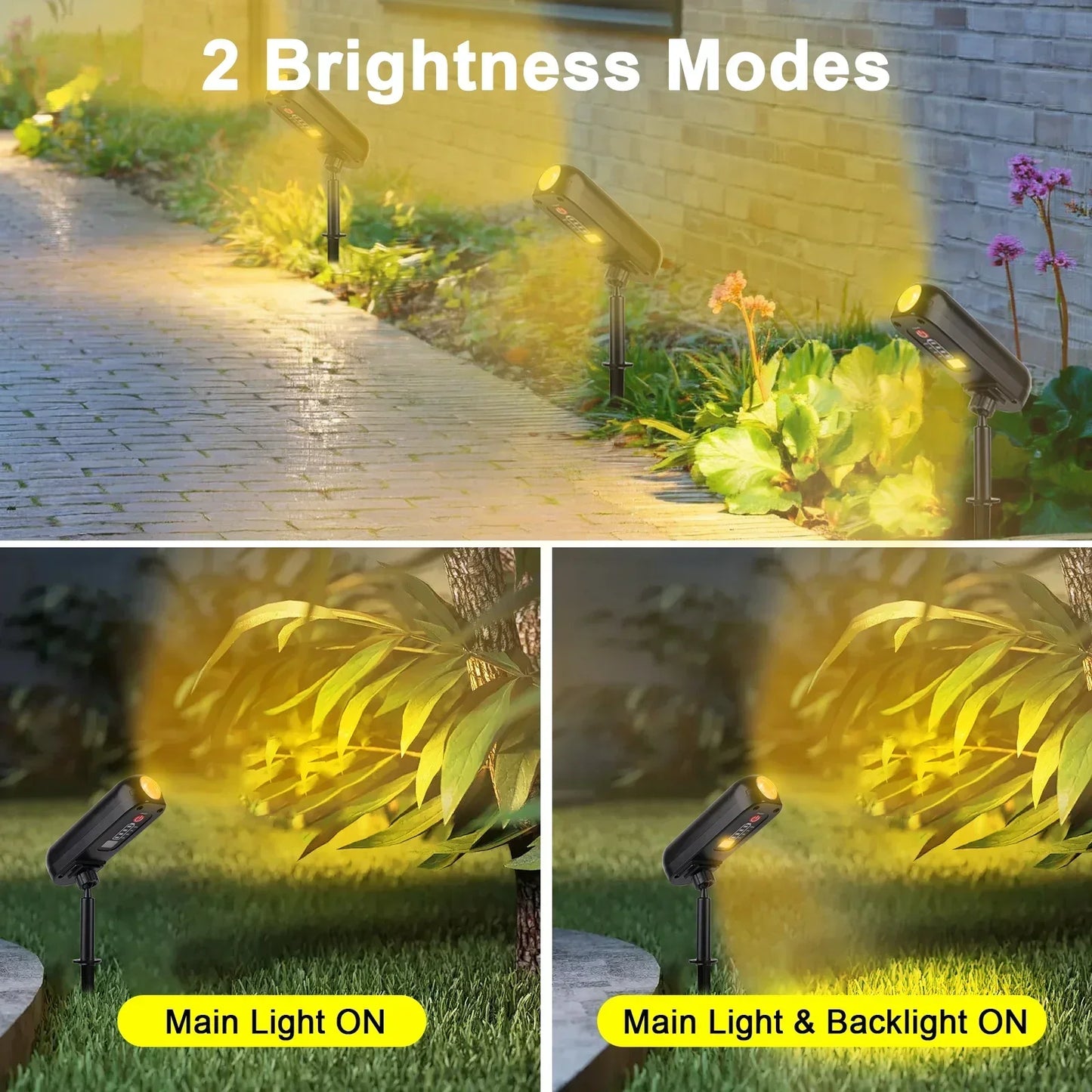 Solar Powered Outdoor Spotlight LED Light