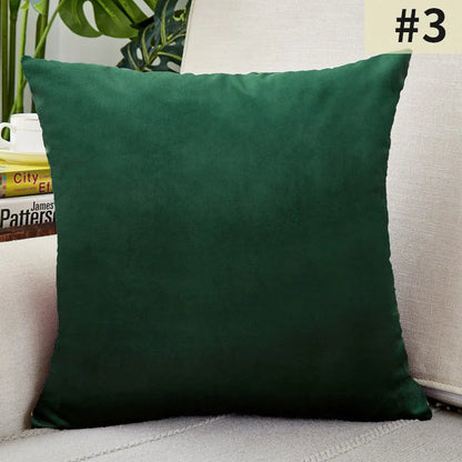 Plush Velvet Pillow Cover for Sophisticated Home Decor