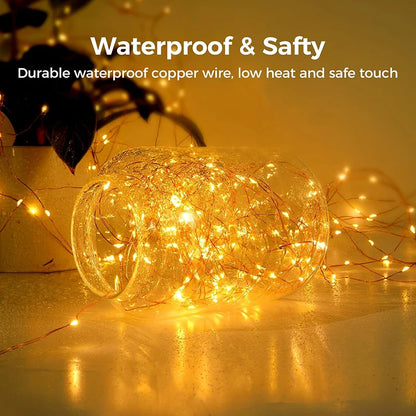 Warm White Fairy String Lights with USB and Remote