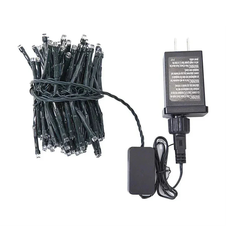 Bright LED String Lights for Garden Decoration