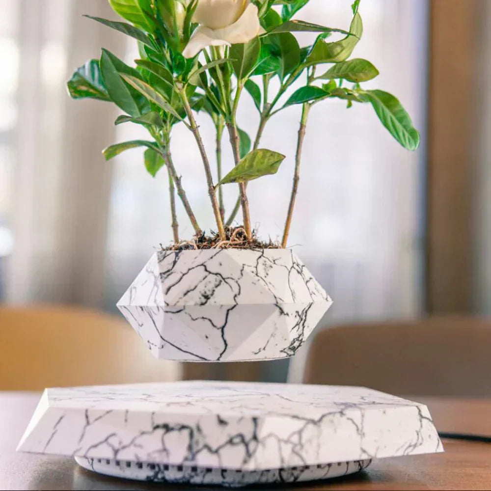 Floating Mini Bonsai Tree Planter