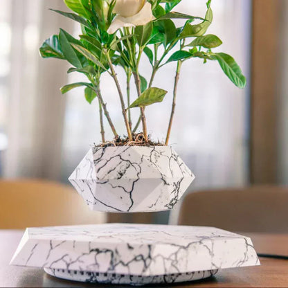 Floating Mini Bonsai Tree Planter