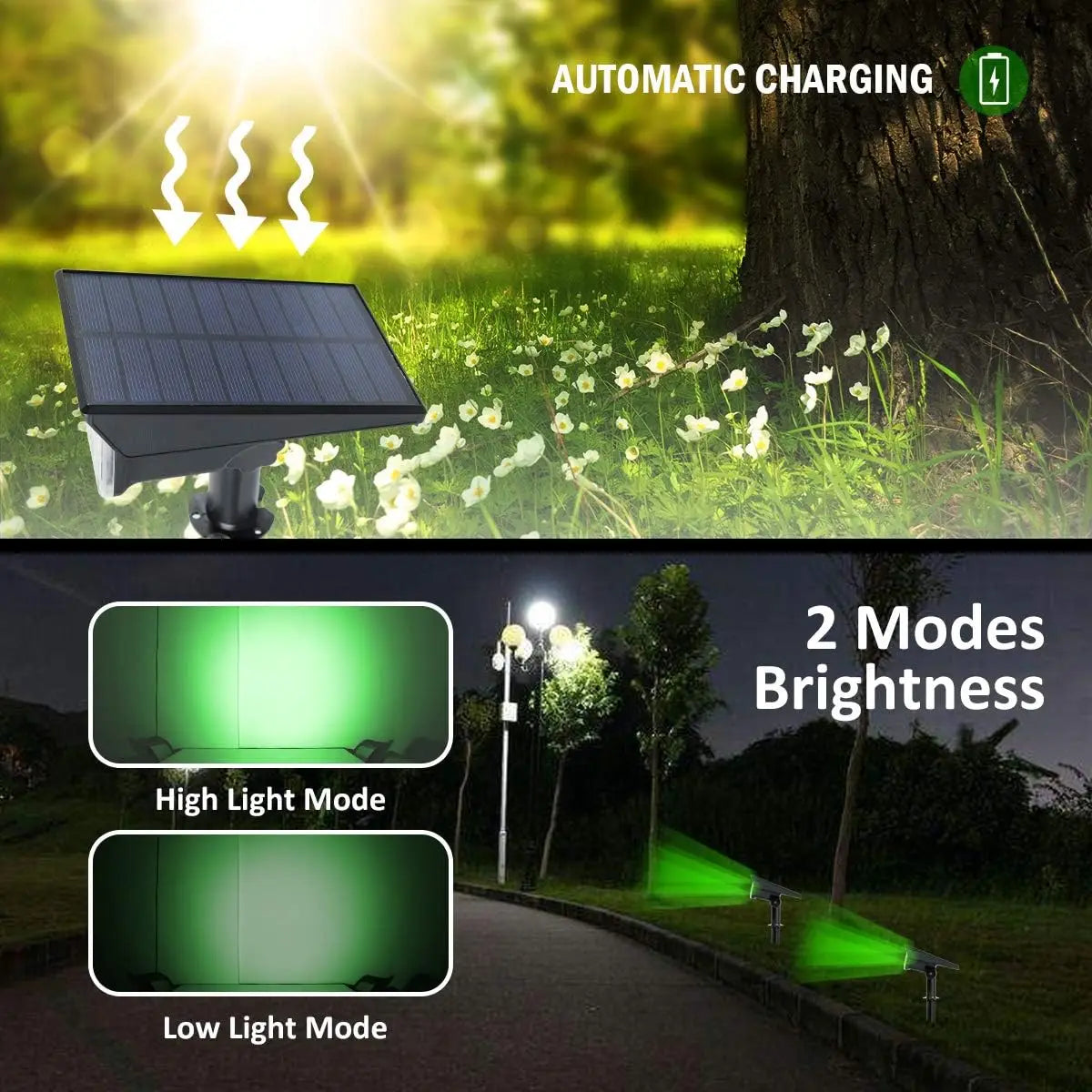 Outdoor Solar Powered Garden Lights Set of 4