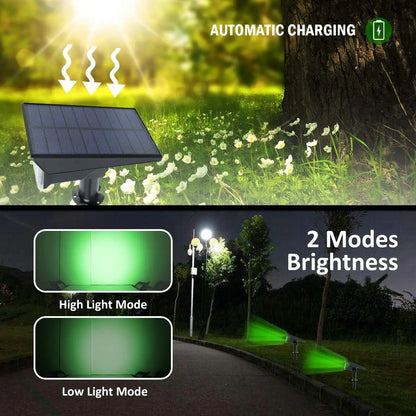 Outdoor Solar Powered Garden Lights Set of 4