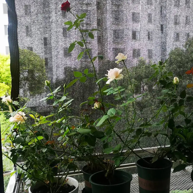 Premium Shade Net for Garden and Greenhouse UV Protection