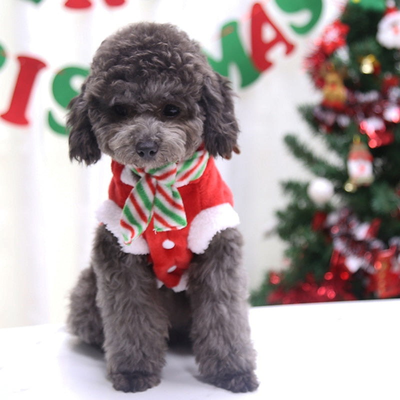 Fun Christmas Pet Outfits - Fesara
