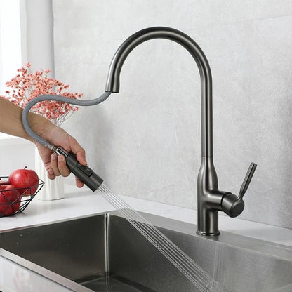 Flexible Kitchen Faucet with Pull Out Spray